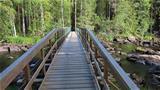 The Kielosaari plant and fungus trail is accessed from Könkäänsaari Island via a bridge. Photo: AT