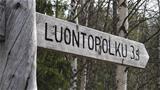 There are clear signposts and info boards along the Auttiköngäs nature trail. Photo: AT