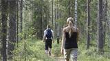 It is easy to walk on the Korkalovaara nature trail. Photo: AT