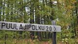 Siperian puulajipolku on todella harvinainen luontopolku Suomessa. Puulajipolulla esitellään yli kaksikymmentä pohjoisen havumetsävyöhykkeen puulajia. Kuva: AT