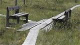 There are rest benches for hikers at the bog. Photo: AT