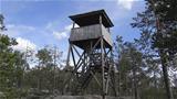 Vaattunkivaara observation tower Photo: AT