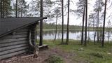 The Kiimalampi lean-to is situated in a beautiful shoreline forest. Photo: AT