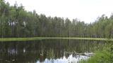 Hietaperänlampi Pond is a beautiful small forest pond. Photo: AT